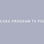 CARA PROGRAM TV POLYTRON
