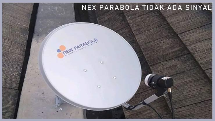 Nex Parabola Tidak Ada Sinyal Karena Upgrade OTA