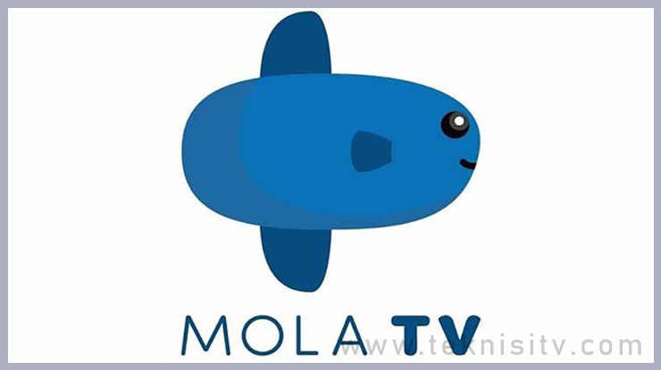 Kelebihan dan Kekurangan Live Streaming Mola TV