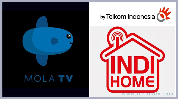 Mengatasi Mola TV Error di IndiHome