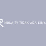 Mola TV Tidak Ada Sinyal