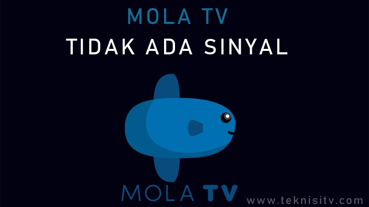 Mola TV Tidak Ada Sinyal.