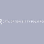 Data Option Bit TV Polytron
