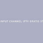 CARA INPUT CHANNEL IPTV GRATIS STB DVB T2