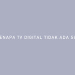 KENAPA TV DIGITAL TIDAK ADA SUARA